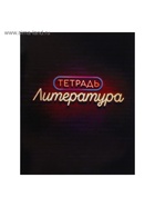 Набор предметных тетрадей Calligrata «Неон», 10 предметов, 48 листов, со справочным материалом, обложка из мелованного картона - Фото 8