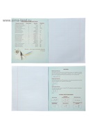 Набор предметных тетрадей Calligrata «Неон», 10 предметов, 48 листов, со справочным материалом, обложка из мелованного картона - Фото 26