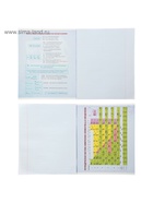 Набор предметных тетрадей Calligrata «Фото», 10 предметов, 48 листов, со справочным материалом, обложка из мелованного картона - Фото 19