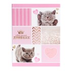 Дневник для 1-4 классов, «Милый дневник», твердая обложка 7БЦ, глянцевая ламинация, 48 листов - Фото 1