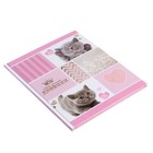 Дневник для 1-4 классов, «Милый дневник», твердая обложка 7БЦ, глянцевая ламинация, 48 листов - Фото 2