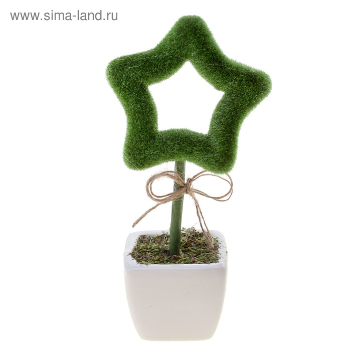 бонсай декор звезда обрамление 17 см - Фото 1