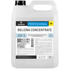 Моющий концентрат Belizna concentrate, 5л 4965600 - фото 8839641