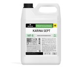 Жидкое бактерицидное мыло Karina Sept, 5л - фото 8984210