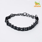 Ошейник строгий пластинчатый вороненый, 55 х 2,3см - Фото 1