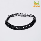 Ошейник строгий пластинчатый вороненый, 60 х 2,7 см - Фото 1