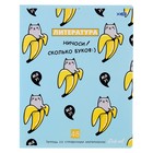 Тетрадь предметная 48 листов в линейку Study well «Литература», обложка мелованный картон, со справочными материалами - Фото 1