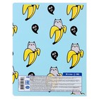 Тетрадь предметная 48 листов в линейку Study well «Литература», обложка мелованный картон, со справочными материалами - Фото 4