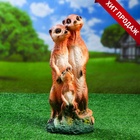 Садовая фигура из гипса «Семья сурикатов», 35×11×9 см - Фото 4