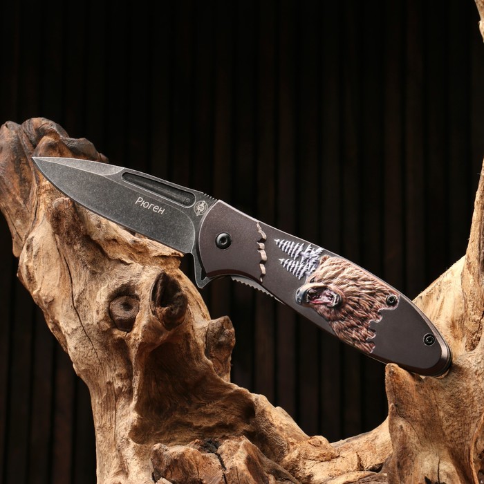 Нож складной "Рюген" сталь - 420, рукоять - алюминий, 20 см - Фото 1
