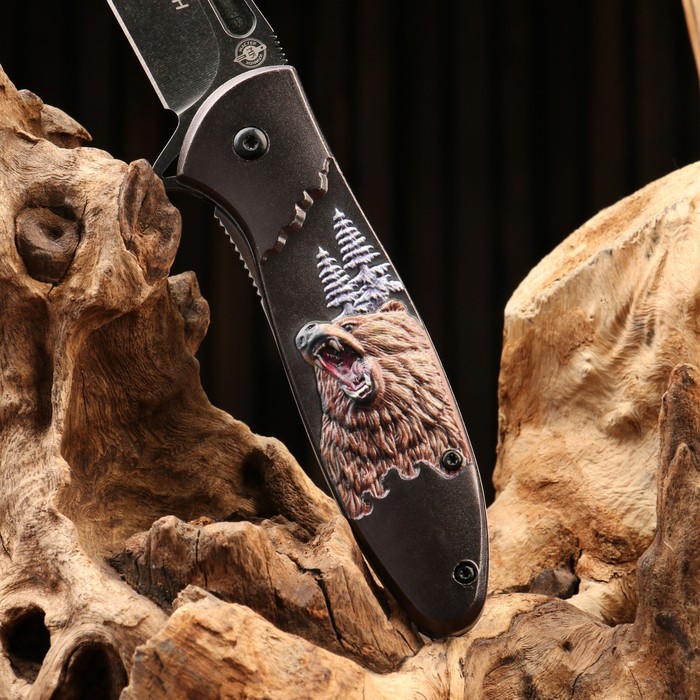 Нож складной "Рюген" сталь - 420, рукоять - алюминий, 20 см - фото 1908557282