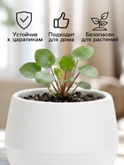 Горшок цветочный «Япония», 3 л, d=22 см, h=20 см, пластиковый, с поддоном, белый - Фото 3