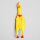 Игрушка пищащая "Курица", 31 см - Фото 2