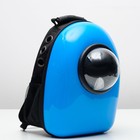 Рюкзак-переноска 30 х 24 х 42 см, пластик, голубой - Фото 2