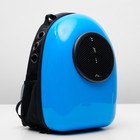 Рюкзак-переноска 30 х 24 х 42 см, пластик, голубой - Фото 13