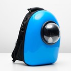 Рюкзак-переноска 30 х 24 х 42 см, пластик, голубой - Фото 3