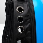 Рюкзак-переноска 30 х 24 х 42 см, пластик, голубой - Фото 7