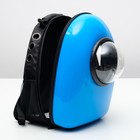 Рюкзак-переноска 30 х 24 х 42 см, пластик, голубой - Фото 9