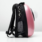 Рюкзак-переноска 30 х 24 х 42 см, пластик, розовый - Фото 3