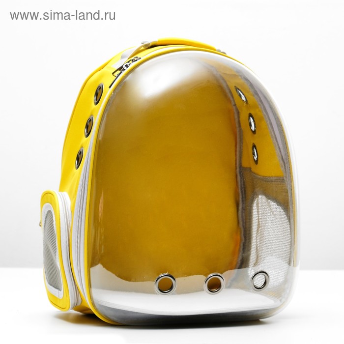 Рюкзак-переноска с прозрачной вставкой, 30 х 24 х 42 см, пластик, микс цветов - Фото 1