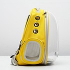 Рюкзак-переноска с прозрачной вставкой, 30 х 24 х 42 см, пластик, микс цветов - Фото 2