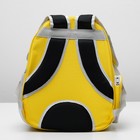 Рюкзак-переноска с прозрачной вставкой, 30 х 24 х 42 см, пластик, микс цветов - Фото 11