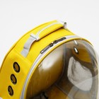 Рюкзак-переноска с прозрачной вставкой, 30 х 24 х 42 см, пластик, микс цветов - Фото 13