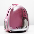 Рюкзак-переноска с прозрачной вставкой, 30 х 24 х 42 см, пластик, микс цветов - Фото 14