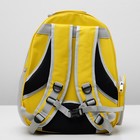 Рюкзак-переноска с прозрачной вставкой, 30 х 24 х 42 см, пластик, микс цветов - Фото 3