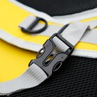 Рюкзак-переноска с прозрачной вставкой, 30 х 24 х 42 см, пластик, микс цветов - Фото 4