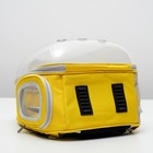 Рюкзак-переноска с прозрачной вставкой, 30 х 24 х 42 см, пластик, микс цветов - Фото 5