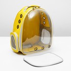 Рюкзак-переноска с прозрачной вставкой, 30 х 24 х 42 см, пластик, микс цветов - Фото 9