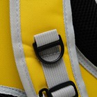 Рюкзак-переноска с прозрачной вставкой, 30 х 24 х 42 см, пластик, микс цветов - Фото 10