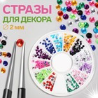 Стразы для декора, 12 ячеек, 2 мм, разноцветные - Фото 1