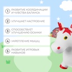 Попрыгун ZABIAKA «Единорог», 66 х 51 см, цвет МИКС - Фото 3