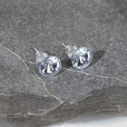 Набор 2 предмета: серьги, колье «Антуанетта» кристаллы, цвет белый в серебре, 40 см - фото 7757559