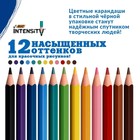 Карандаши 12 цветов BIC Color Up, для подростков и взрослых, трёхгранные, микс - Фото 2