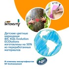 Карандаши 12 цветов BIC Color Up, для подростков и взрослых, трёхгранные, микс - Фото 6