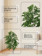 Дерево искусственное «Берёза», h=180 см - Фото 2