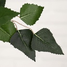 Дерево искусственное «Берёза», h=180 см - Фото 4