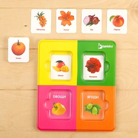 Сортер «Растительный мир» с карточками Домана, в пакете