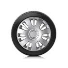 Колпаки колесные Autoprofi R15, PP пластик, регулировочный обод, металлик, 370 мм, 4 шт - фото 80556