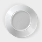 Блюдце Добрушский завод «Гуси», d=14 см, фарфор, рисунок микс, белое - Фото 3