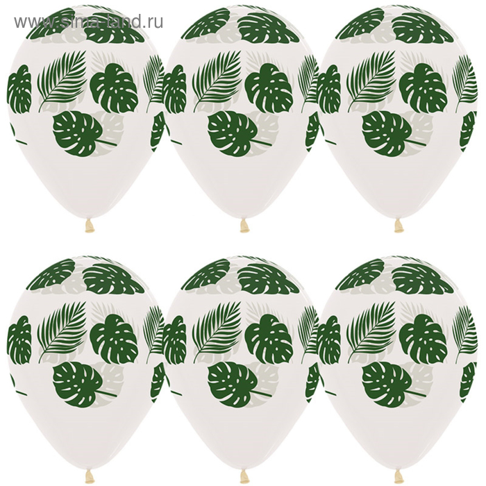 Шар латексный 12" «Зелёные листья», кристалл, 5-сторонний, набор 50 шт. - Фото 1