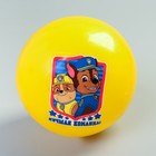 Мяч детский Paw Patrol, желтый 16 см, 50 гр МИКС - Фото 2