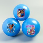 Мяч детский Paw Patrol, синий 16 см, 50 гр МИКС - Фото 1