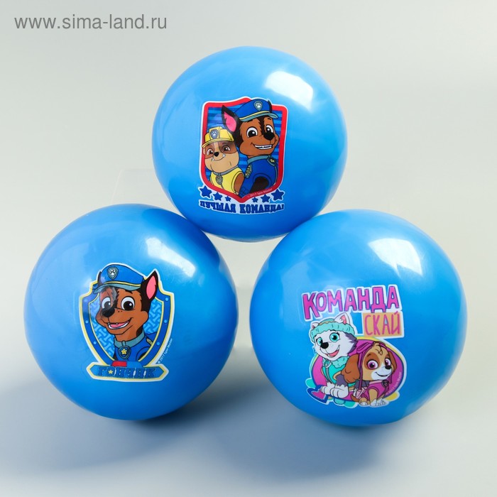 Мяч детский Paw Patrol, синий 16 см, 50 гр МИКС - Фото 1