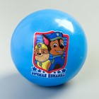 Мяч детский Paw Patrol, синий 16 см, 50 гр МИКС - Фото 4