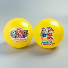 Мяч детский Paw Patrol, желтый 22 см, 50 гр МИКС - Фото 1