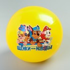 Мяч детский Paw Patrol, желтый (Щенки) 22 см, 50 гр МИКС - Фото 4